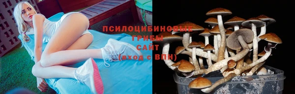 мяу мяу мука Навашино