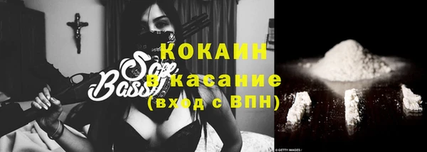 крисы Надым