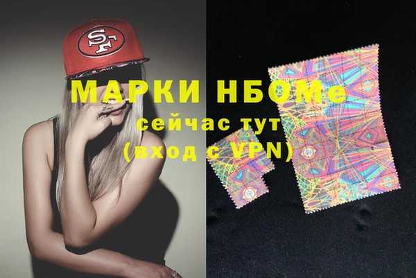 крисы Надым
