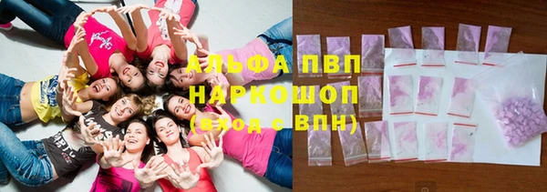 крисы Надым